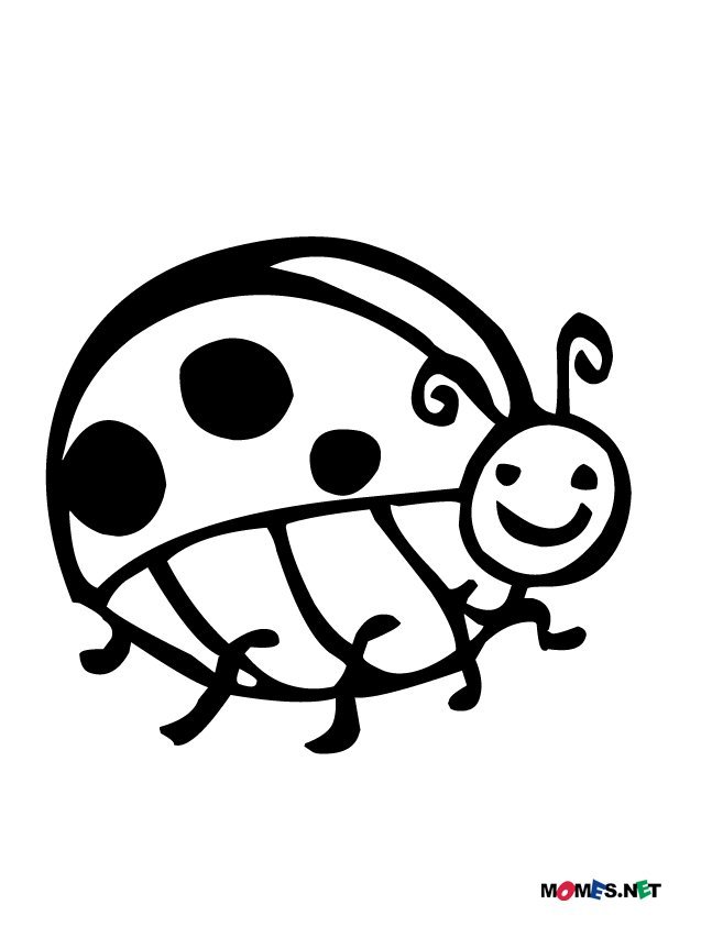Free printable Bettle coloring page #3565 from Animals collection