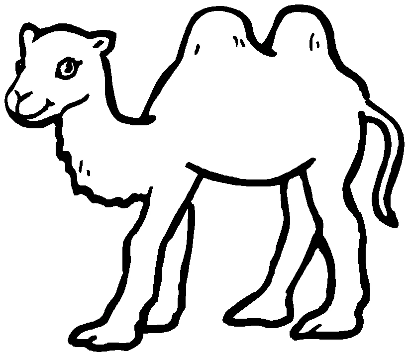Free printable Camel coloring page #1661 from Animals collection