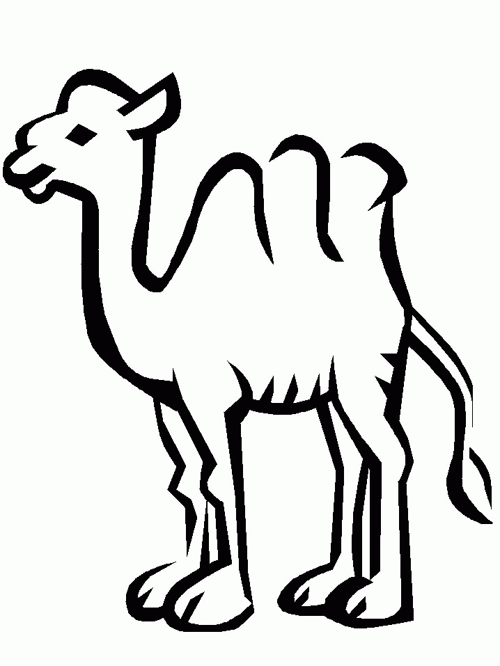 Free printable Camel coloring page #1693 from Animals collection