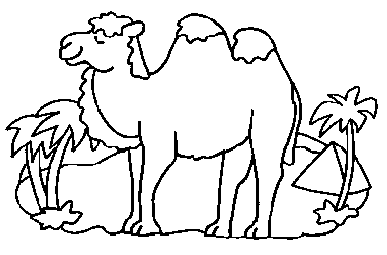Free printable Camel coloring page #1697 from Animals collection