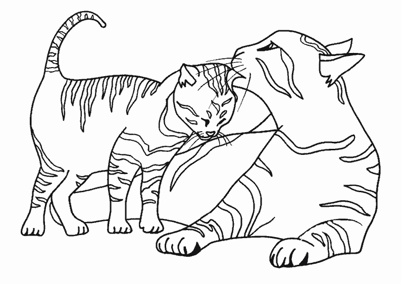 Free printable Cat coloring page #1776 from Animals collection