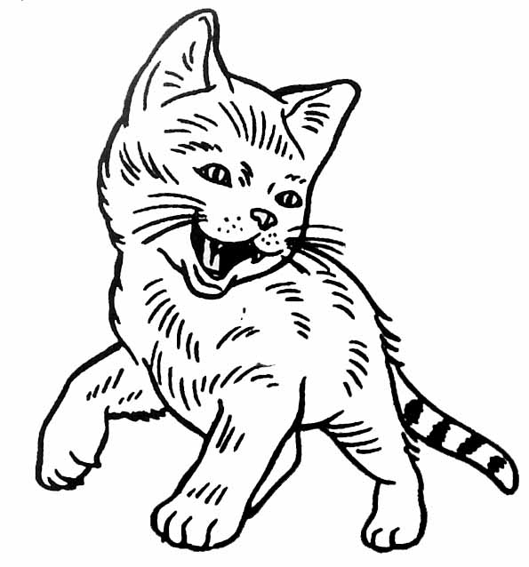 Free printable Cat coloring page #1904 from Animals collection
