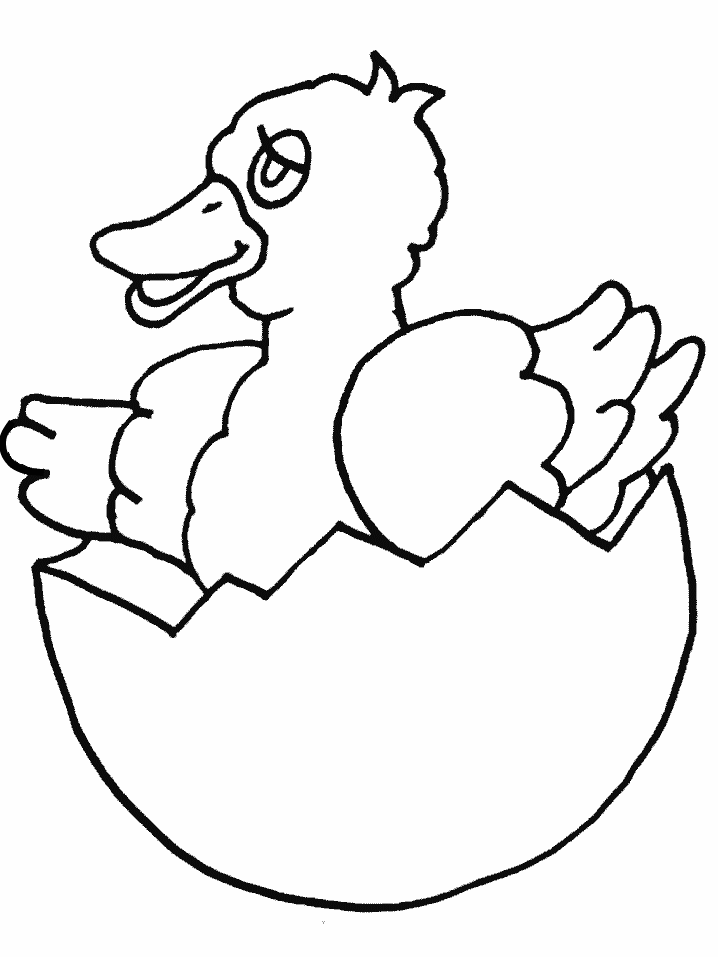 Free printable Chick coloring page #20138 from Animals collection