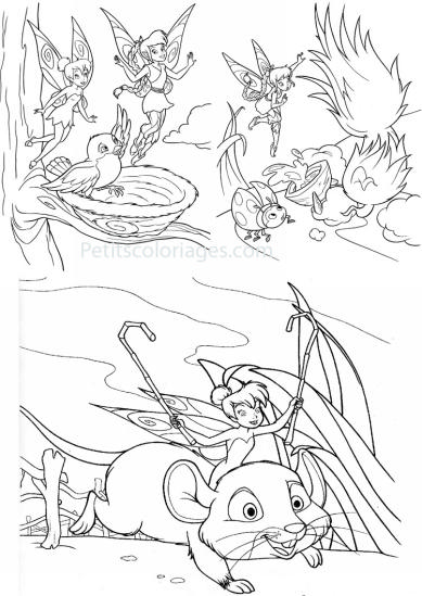 Free printable Chick coloring page #20139 from Animals collection