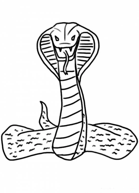 Free printable Cobra coloring page #3228 from Animals collection