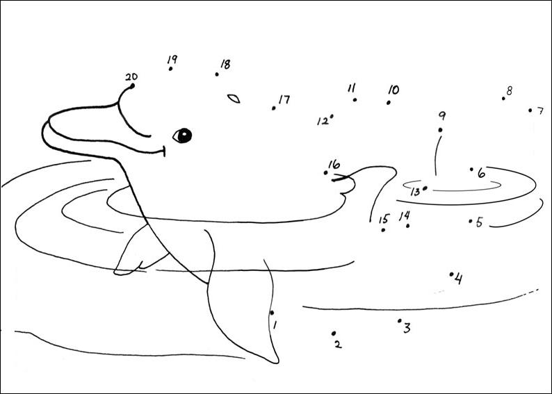 Free printable Dolphin coloring page #5149 from Animals collection