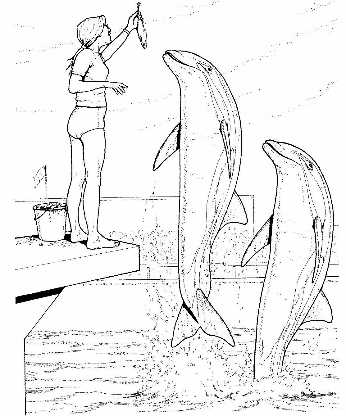 Free printable Dolphin coloring page #5191 from Animals collection