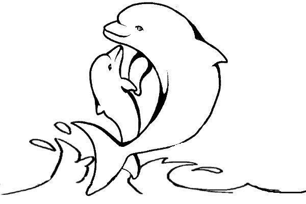 Free printable Dolphin coloring page #5255 from Animals collection