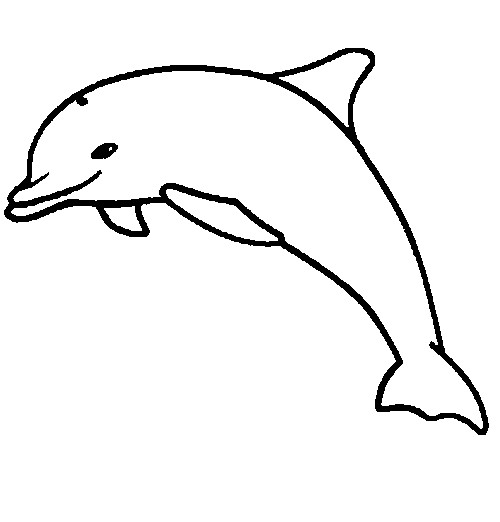 Free printable Dolphin coloring page #5283 from Animals collection