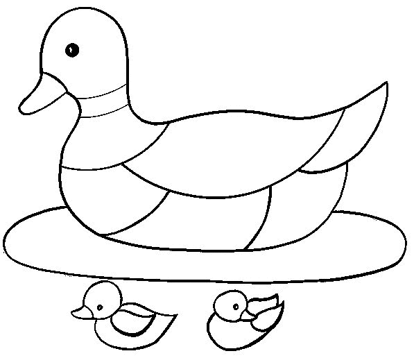 Free printable Duck coloring page #1477 from Animals collection