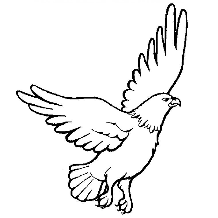 Free printable Eagle coloring page #275 from Animals collection