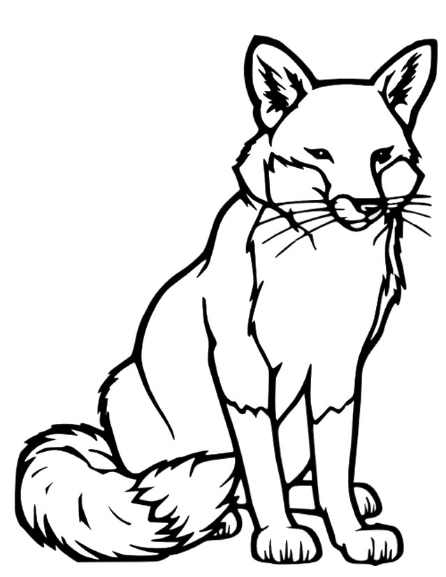 Free printable Fox coloring page #14972 from Animals collection