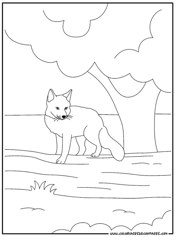Free printable Fox coloring page #15021 from Animals collection