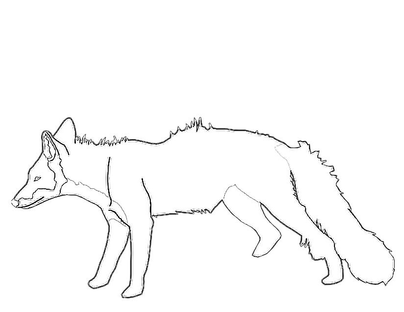 Free printable Fox coloring page #15032 from Animals collection