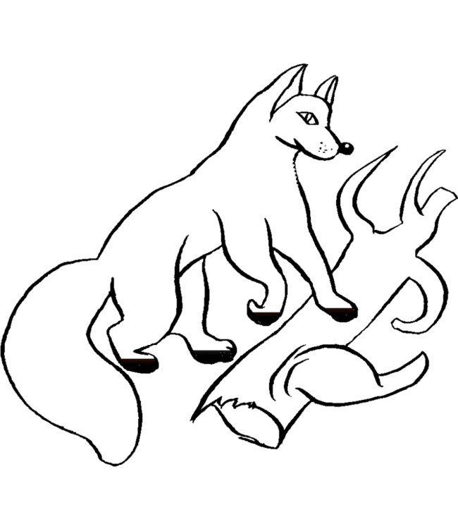 Free printable Fox coloring page #15064 from Animals collection