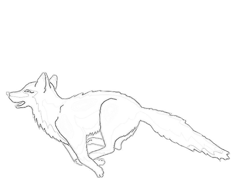Free printable Fox coloring page #15075 from Animals collection