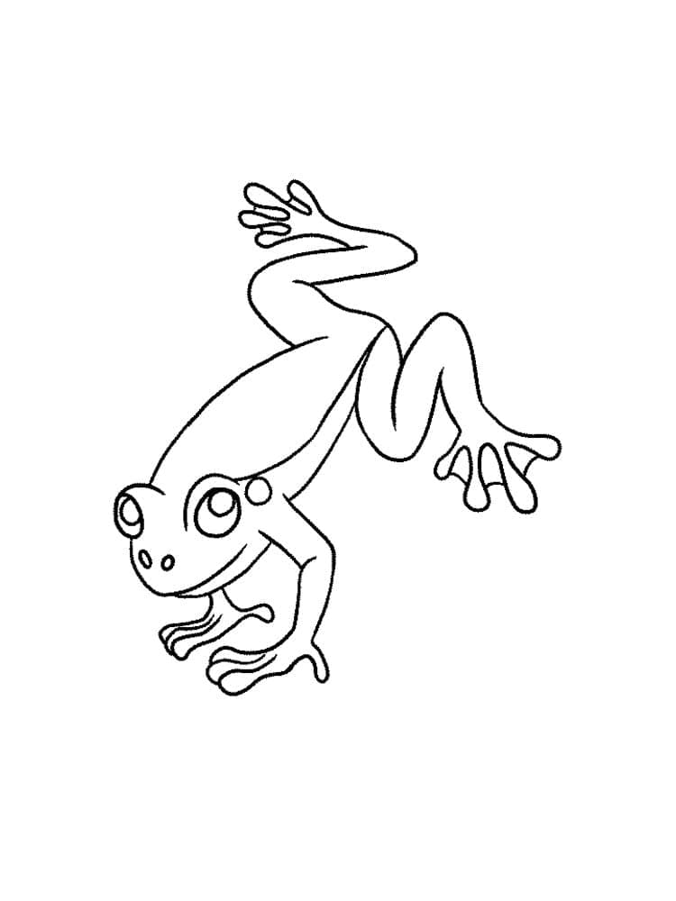 Free printable Frog coloring page #187294 from Animals collection