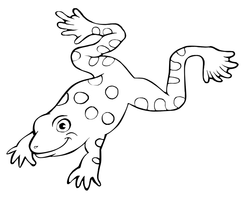 Free printable Frog coloring page #7637 from Animals collection