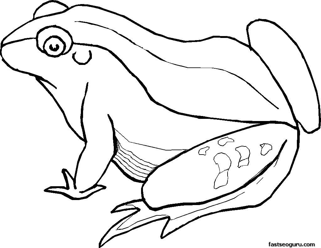 Free printable Frog coloring page #7655 from Animals collection