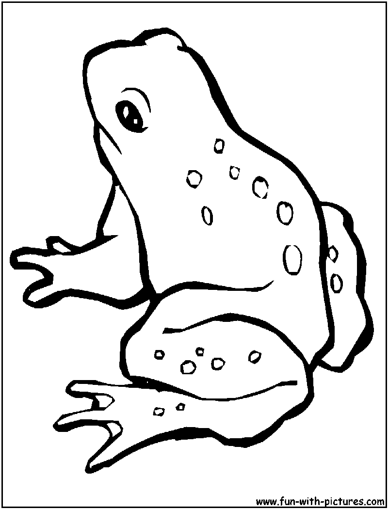 Free printable Frog coloring page #7663 from Animals collection
