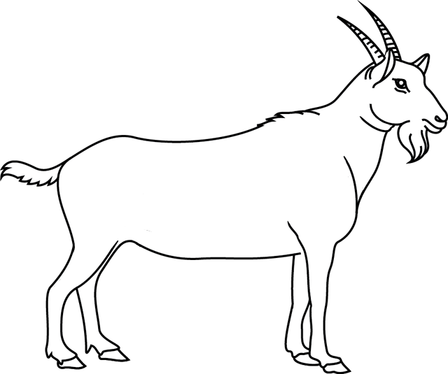 Free printable Goat coloring page #2365 from Animals collection