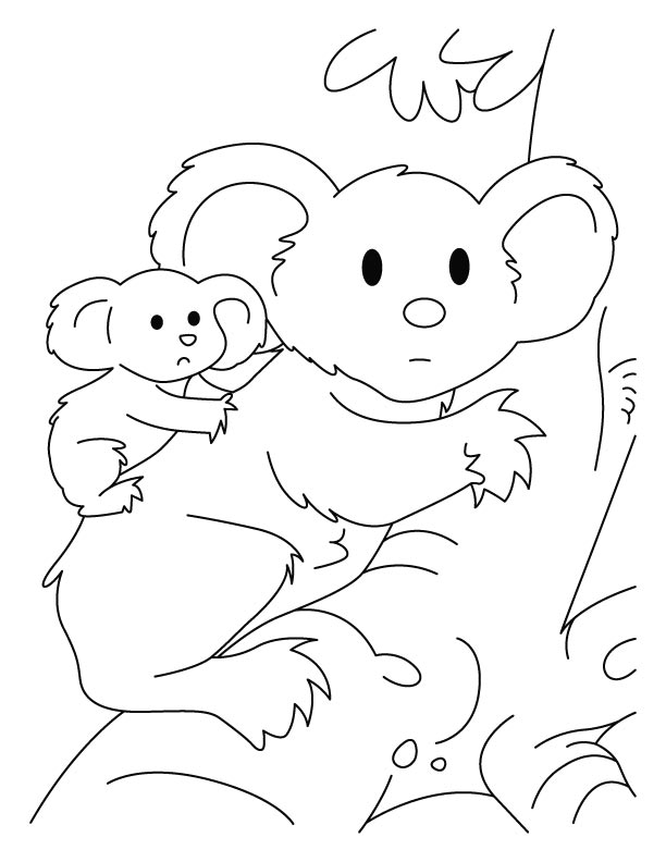 Free printable Koala coloring page #9362 from Animals collection