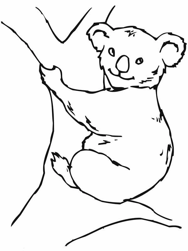 Free printable Koala coloring page #9399 from Animals collection