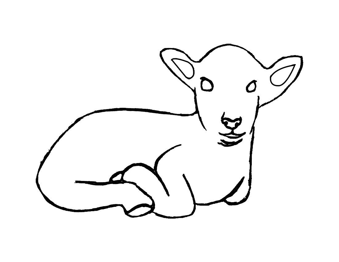 Free printable Lamb coloring page #204 from Animals collection