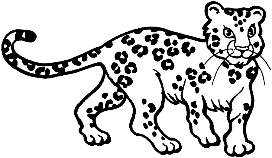 Free printable Leopard coloring page #9706 from Animals collection