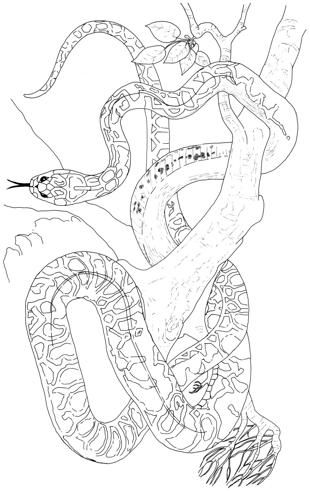 Free printable Leopard coloring page #9755 from Animals collection