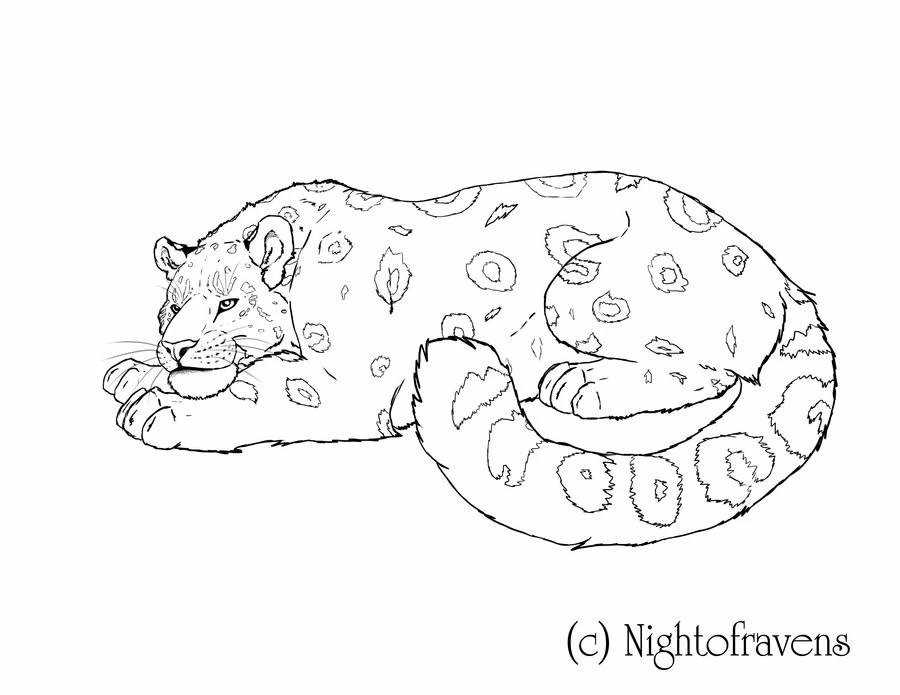 Free printable Leopard coloring page #9801 from Animals collection