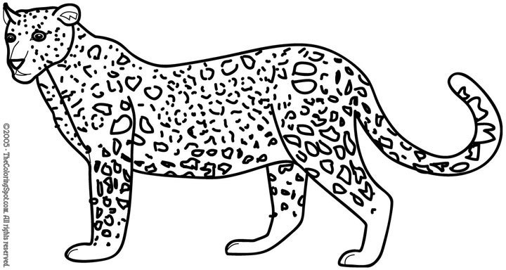 Free printable Leopard coloring page #9869 from Animals collection