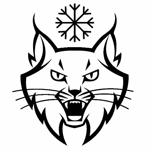 Free printable Lynx coloring page #10839 from Animals collection