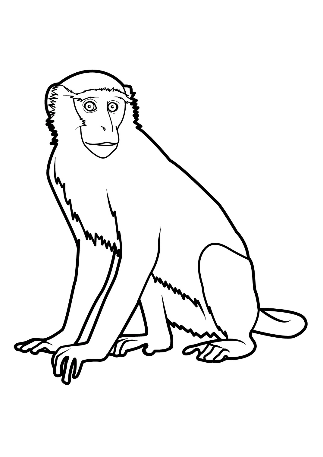 Free printable Monkey coloring page #14259 from Animals collection