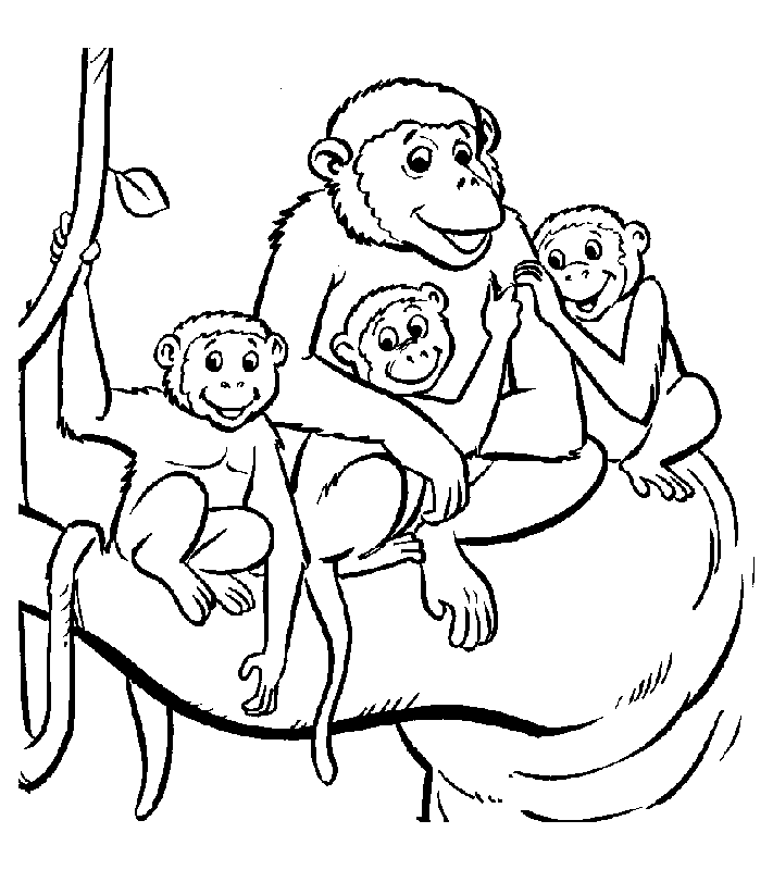 Free printable Monkey coloring page #14290 from Animals collection