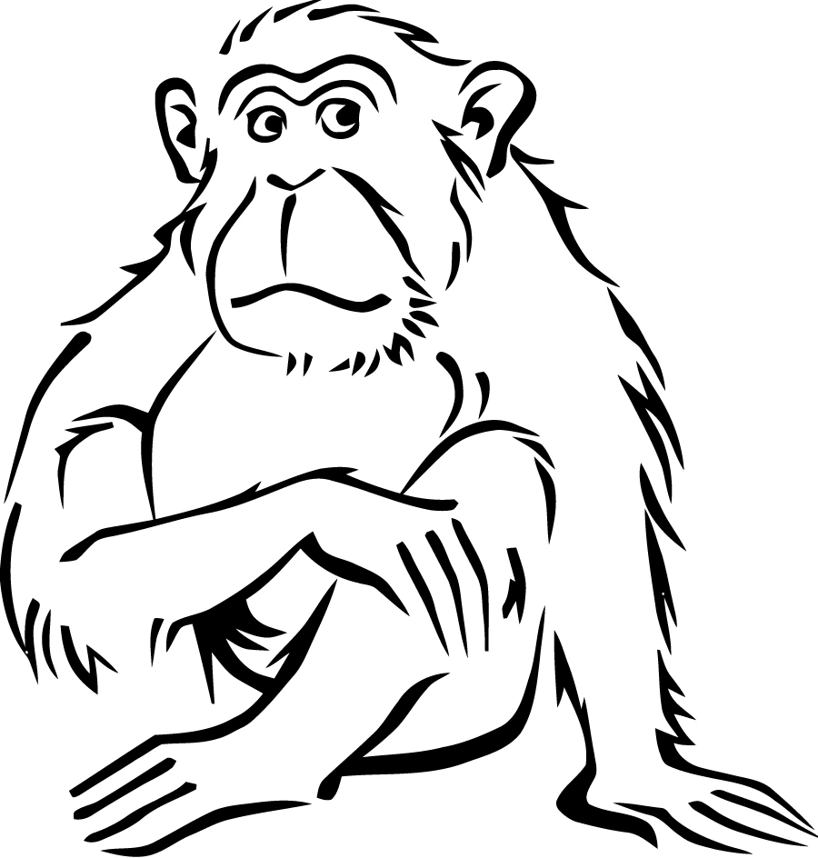 Free printable Monkey coloring page #14320 from Animals collection