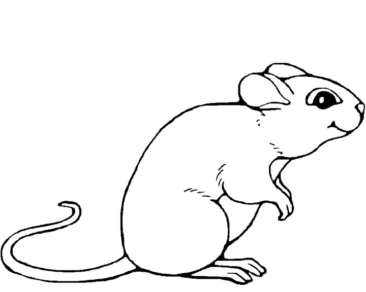 Free printable Mouse coloring page #13947 from Animals collection