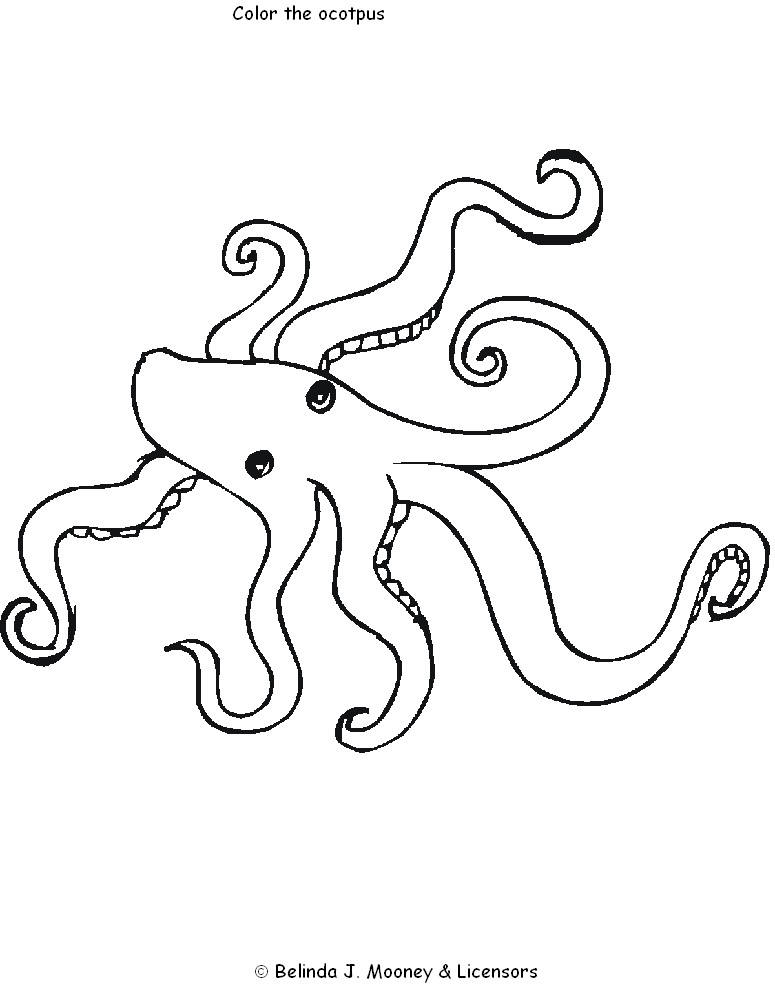 Free printable Octopus coloring page #18965 from Animals collection