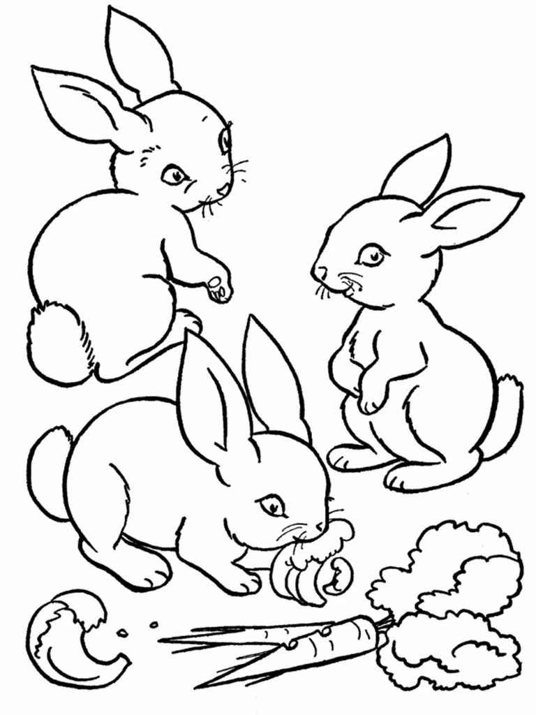 Free printable Rabbit coloring page #9522 from Animals collection