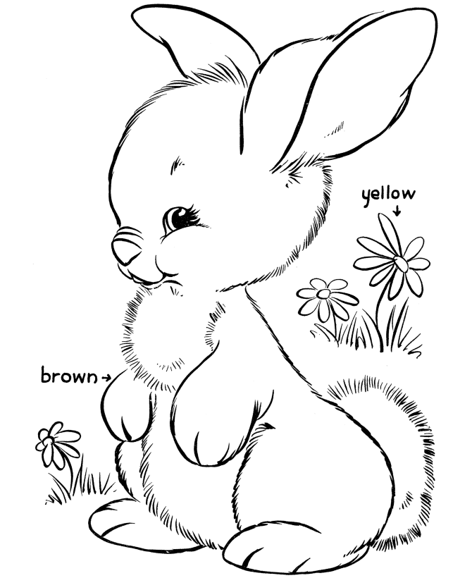 Free printable Rabbit coloring page #9621 from Animals collection