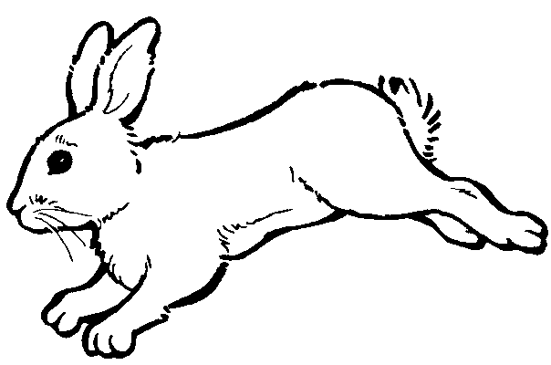 Free printable Rabbit coloring page #9702 from Animals collection