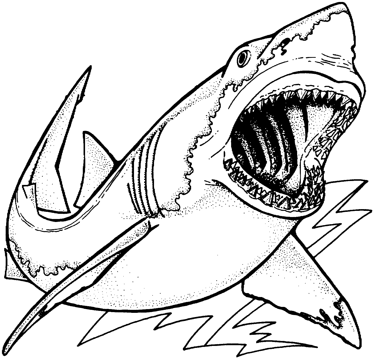 Free printable Shark coloring page #14896 from Animals collection