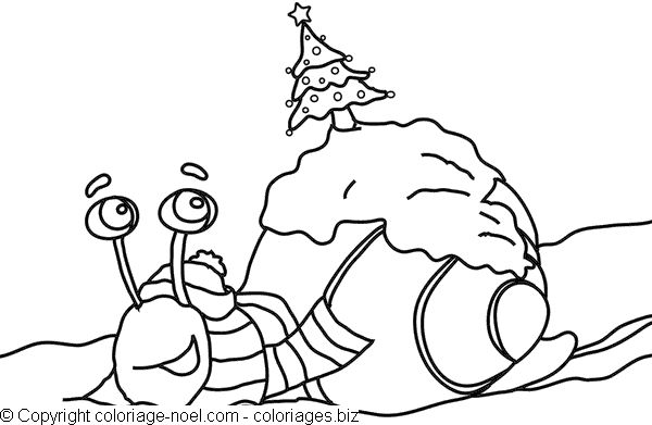 Free printable Snail coloring page #6575 from Animals collection