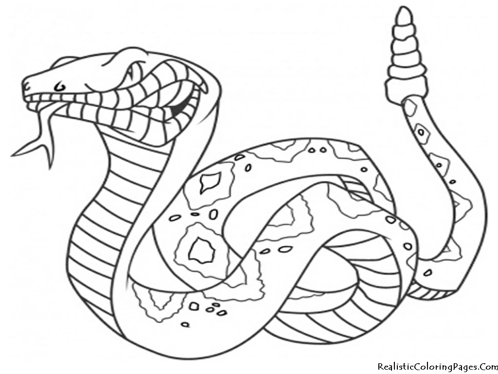 Free printable Snake coloring page #14342 from Animals collection