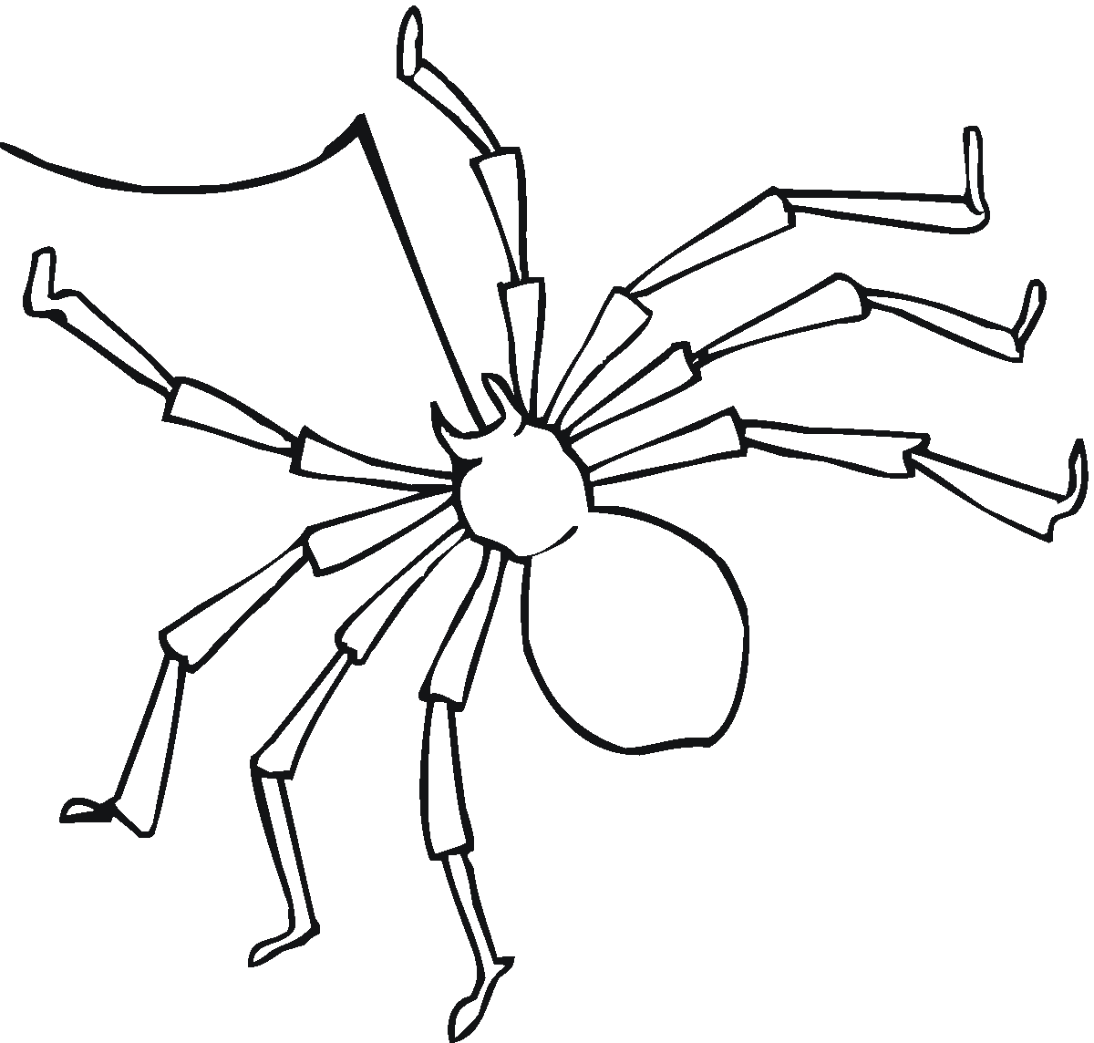 Free printable Spider coloring page #597 from Animals collection