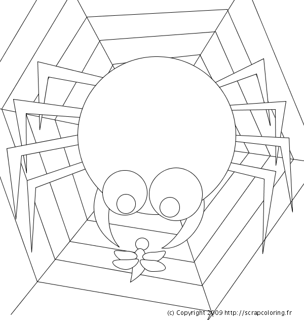 Free printable Spider coloring page #600 from Animals collection
