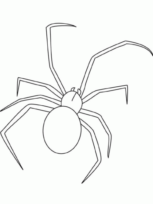 Free printable Spider coloring page #613 from Animals collection
