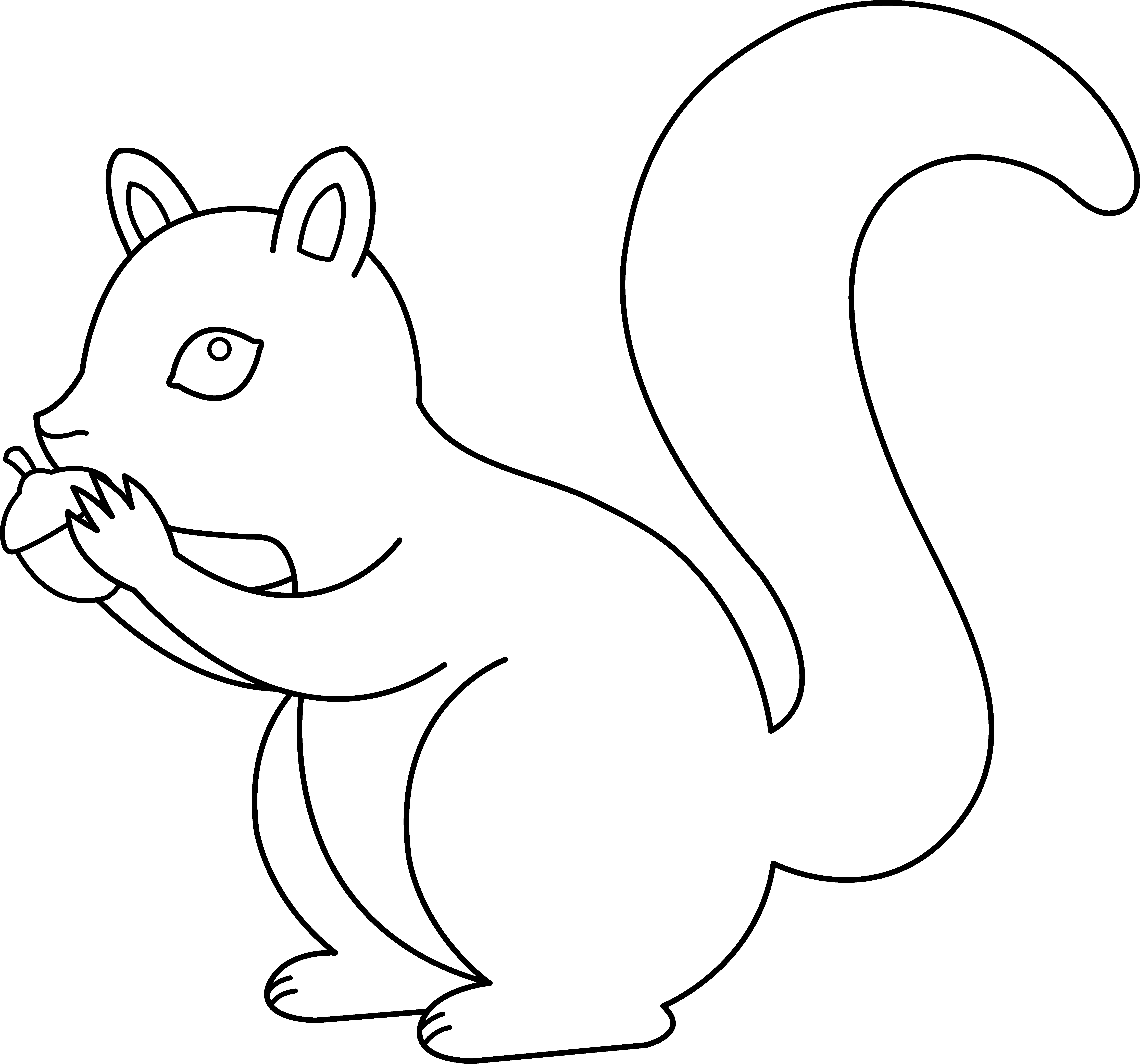 Free printable Squirrel coloring page #6119 from Animals collection