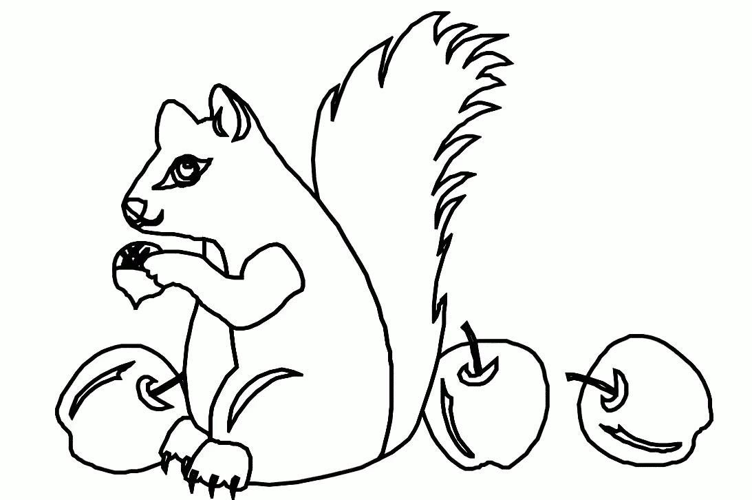 Free printable Squirrel coloring page #6124 from Animals collection