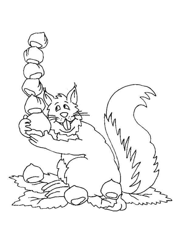 Free printable Squirrel coloring page #6233 from Animals collection